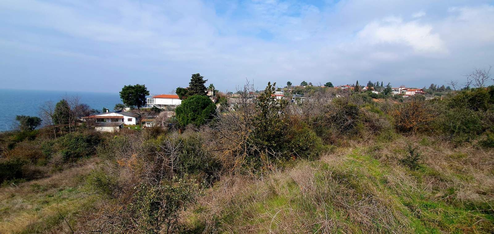 6200 m² Parcel