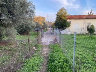 224 m² Plot