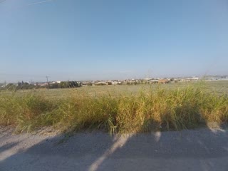 15772 m² Parcel