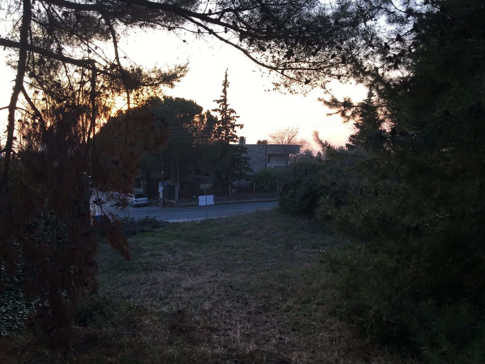Οικόπεδο 1000τ.μ.
