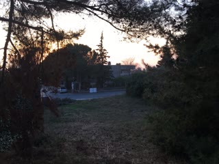 1000 m² Plot