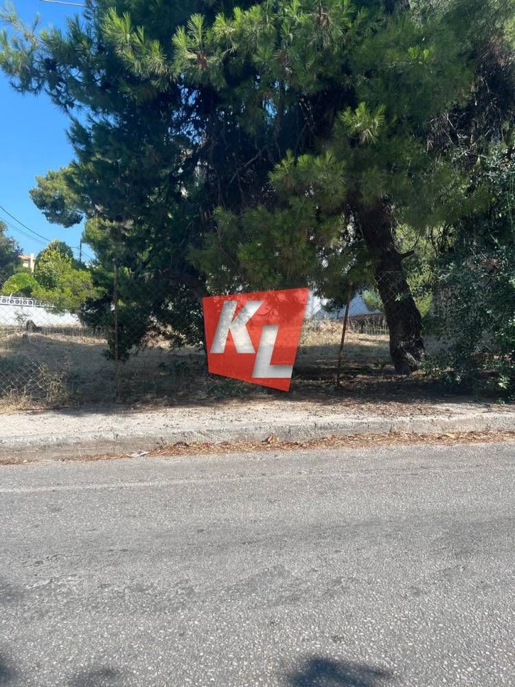 Οικόπεδο 617τ.μ.
