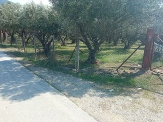 7312 m² Parcel