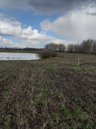 Продам або здам в оренду ділянку