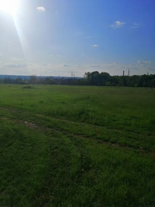For Sale Land in the Field of Wonders