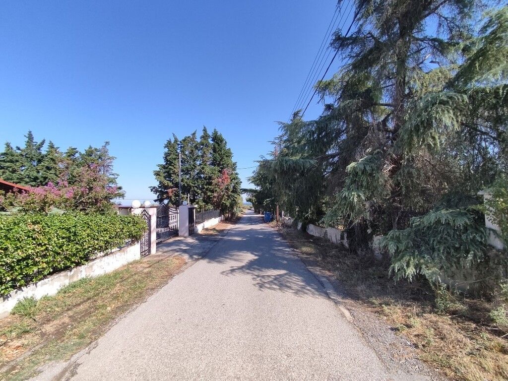 Οικόπεδο 1561 τ.μ.