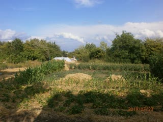 Продам дачну ділянку з вагончиком
