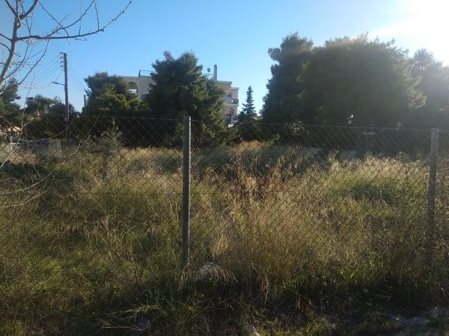 Οικόπεδο 2237 τ.μ.