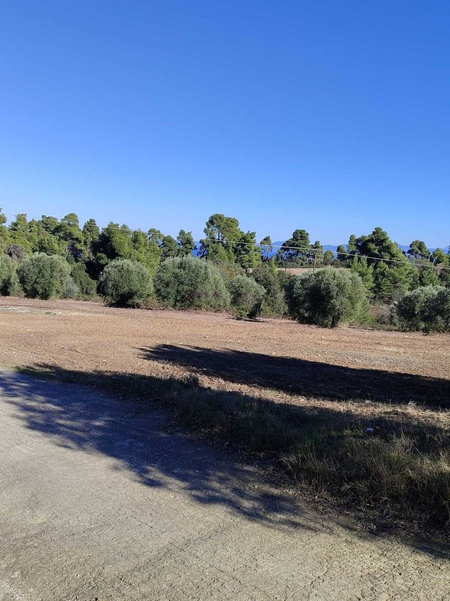 5000 m² Parcel