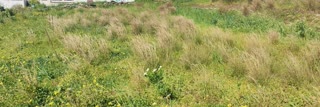 270 m² Plot