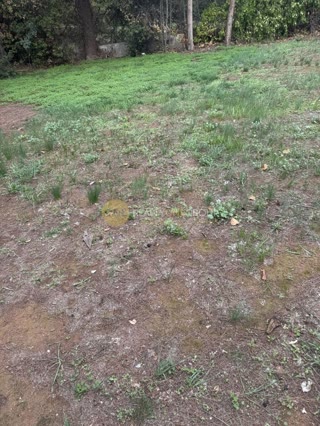 1100 m² Plot