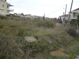 758 m² Plot