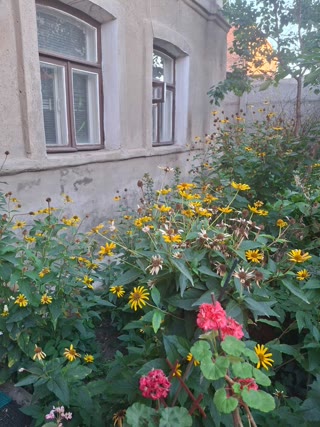 Продам 1к квартиру р-н Стрілка, метро Історичний музей, Центр