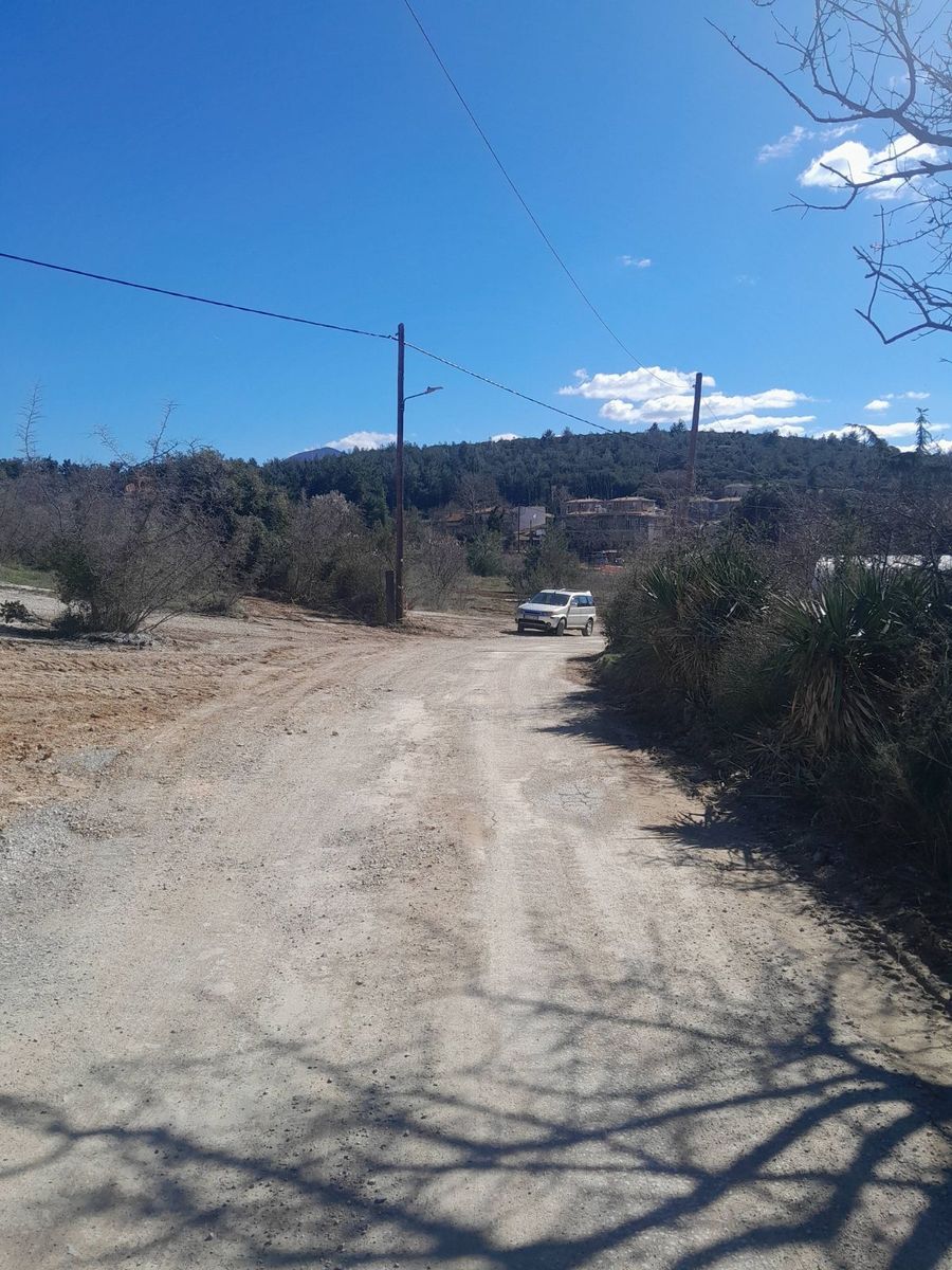 1220 m² Plot