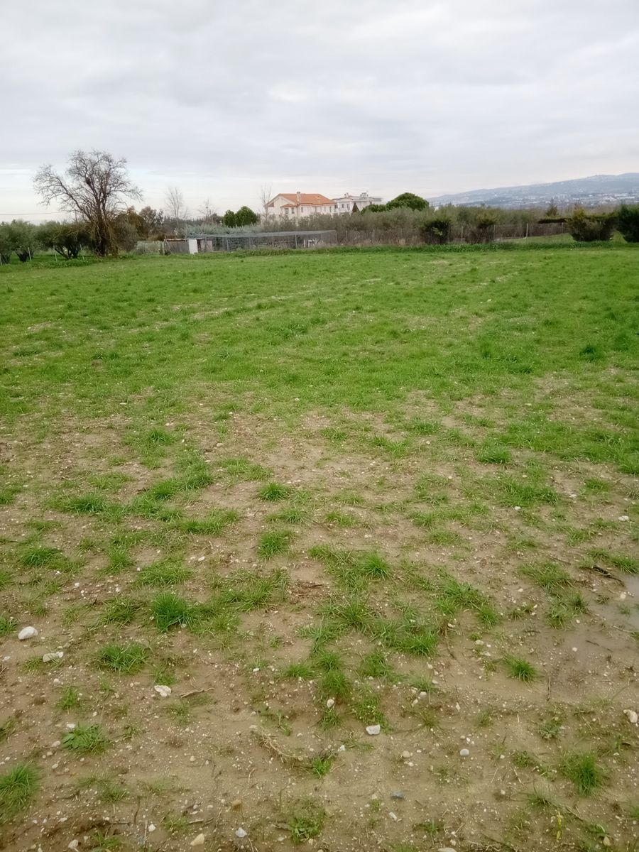 4865 m² Parcel