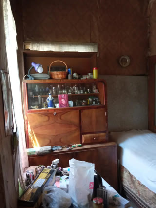 For sale 3-room private house with its own operating business in Didube