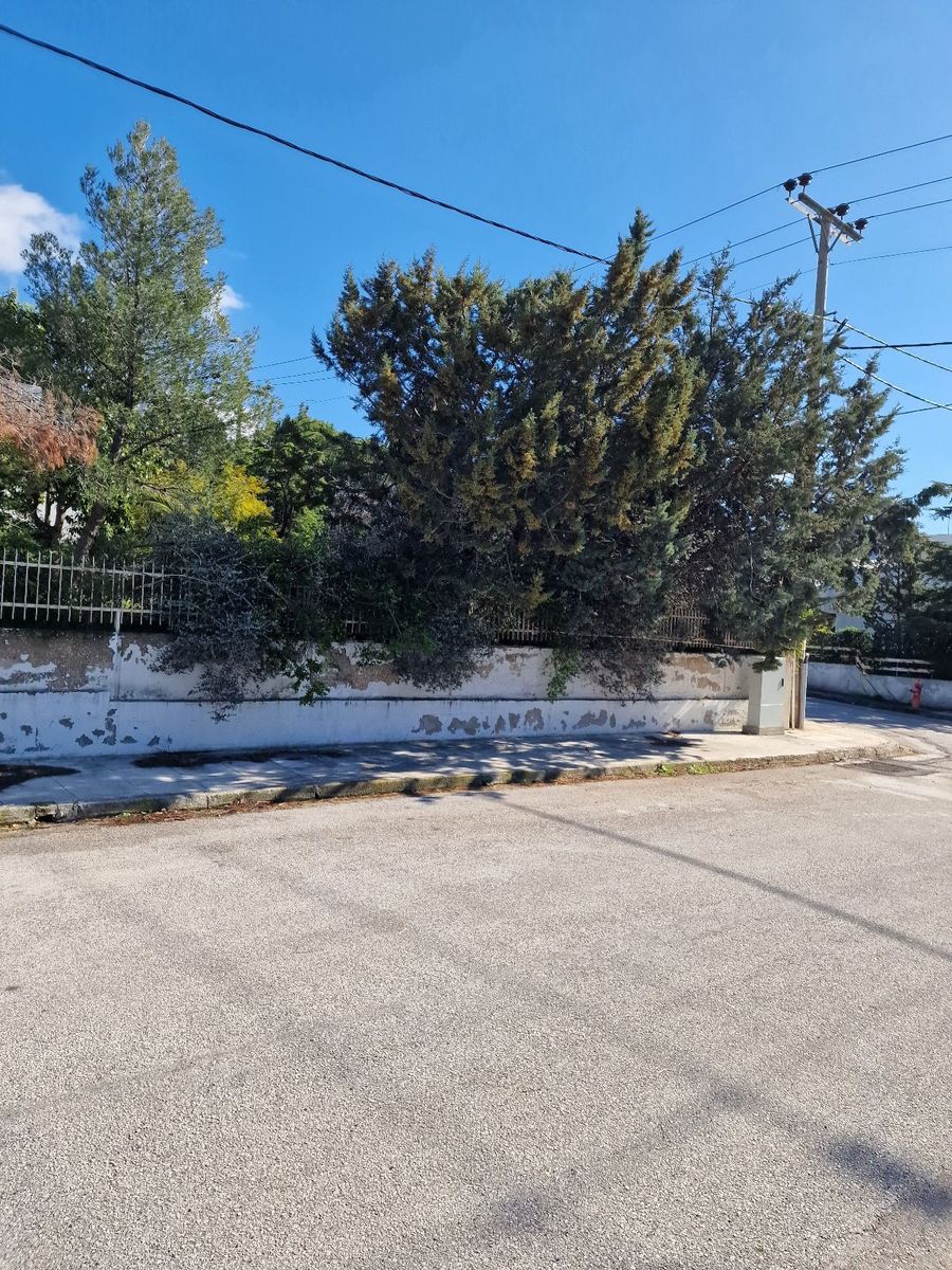 Οικόπεδο 1200τ.μ.