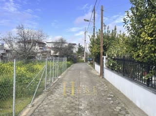 228 m² Plot