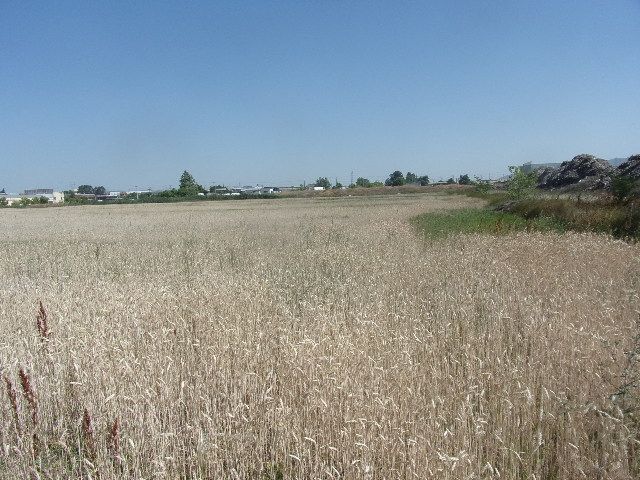 Parcel of 4452 m²