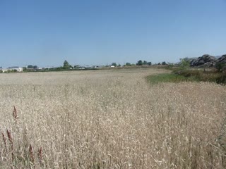 Parcel of 4452 m²
