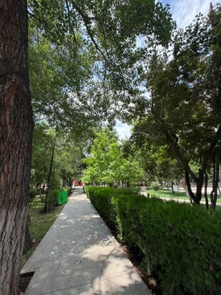 Luxury Apartment for Sale in Tbilisi, Saburtalo — Near Red Park