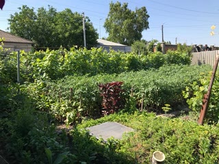 Продам будинок в Куп'янську