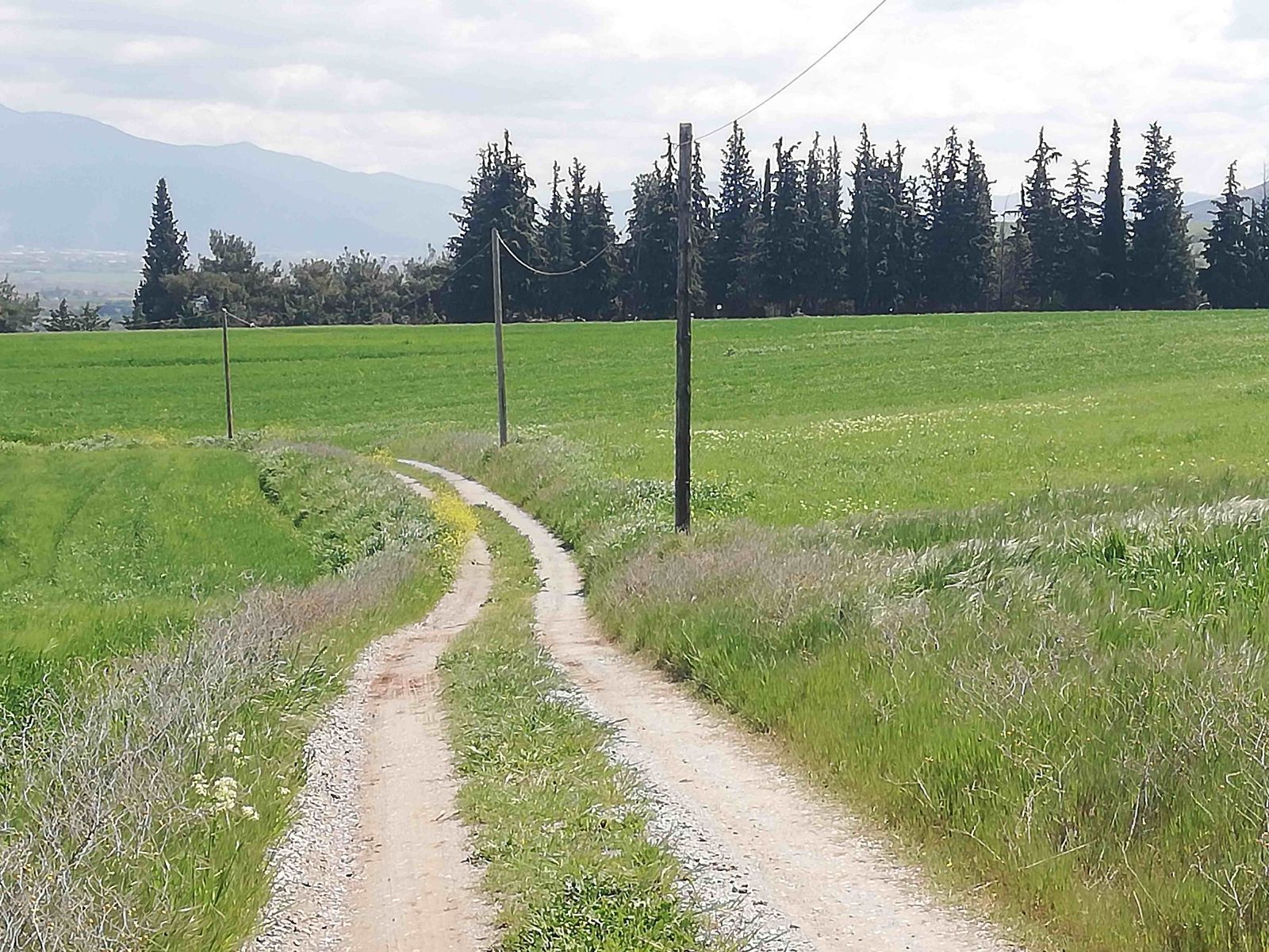 Parcel of 9000 m²