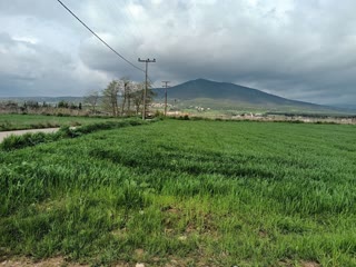10800 m² Parcel