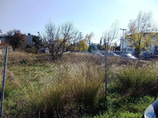 450 m² Plot