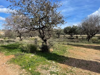 2150 m² Plot