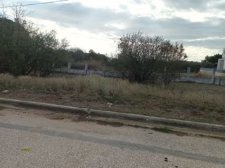800 m² Plot