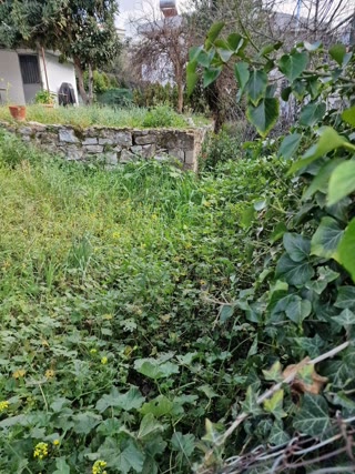 388 m² Plot