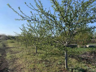 Продам земельну ділянку