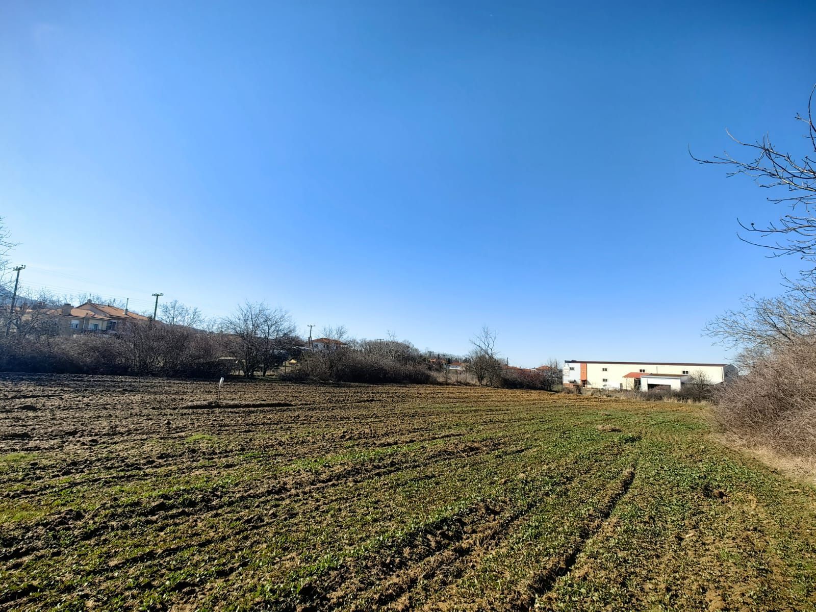 Участок 5500 м²