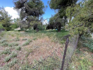 686 m² Plot