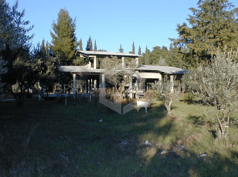 Οικόπεδο 10600τ.μ.