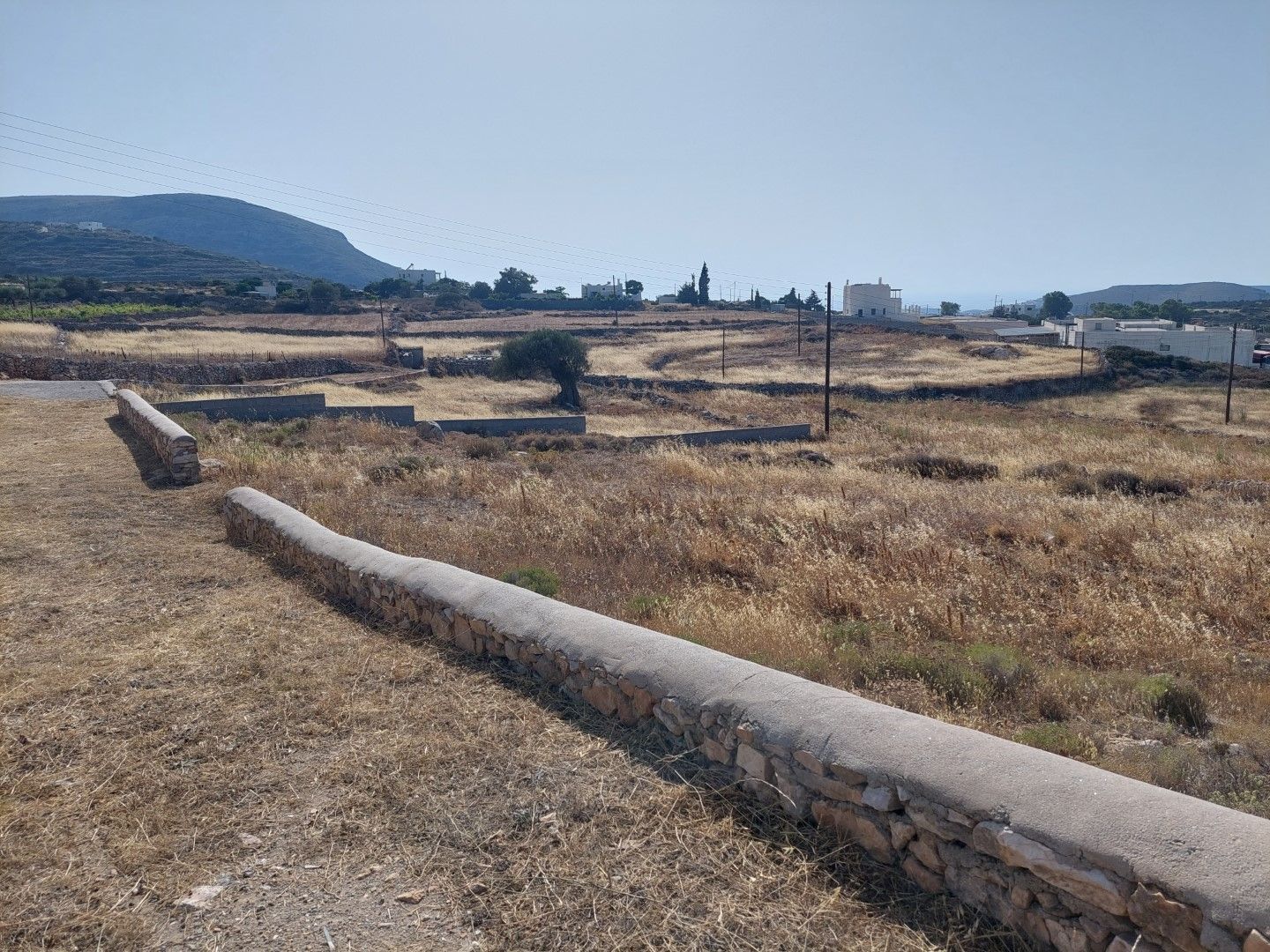 1000 m² Plot