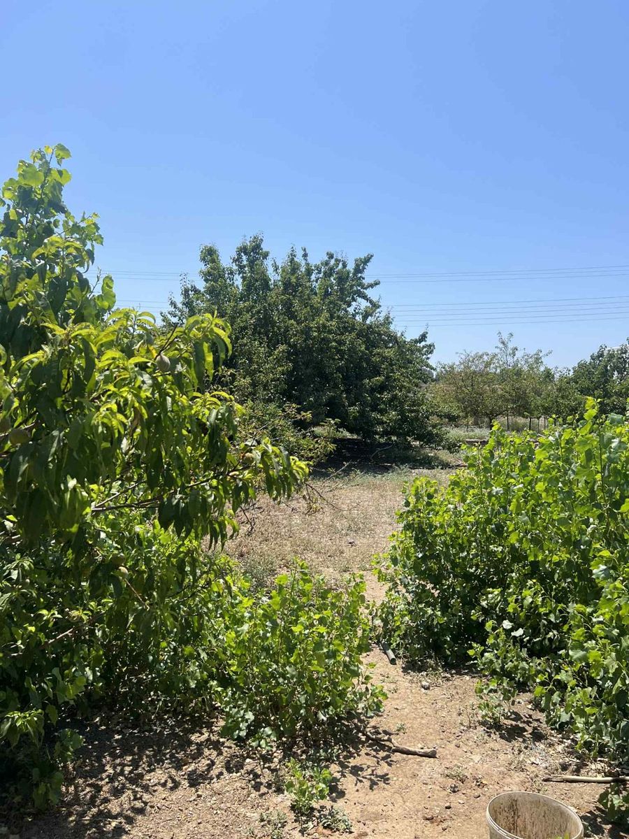 Parcel of 650 m²