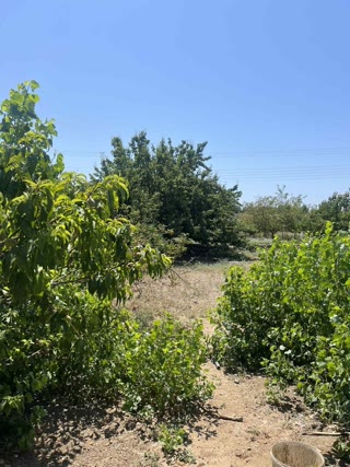 Parcel of 650 m²