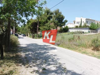 350 m² Plot