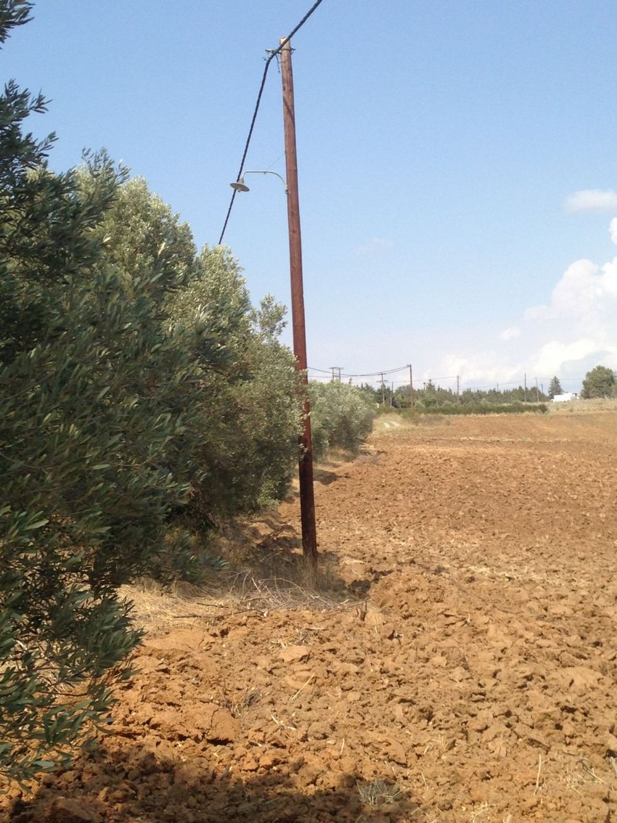 6500 m² Parcel