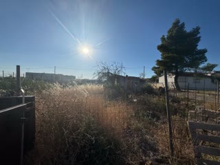353 m² Plot