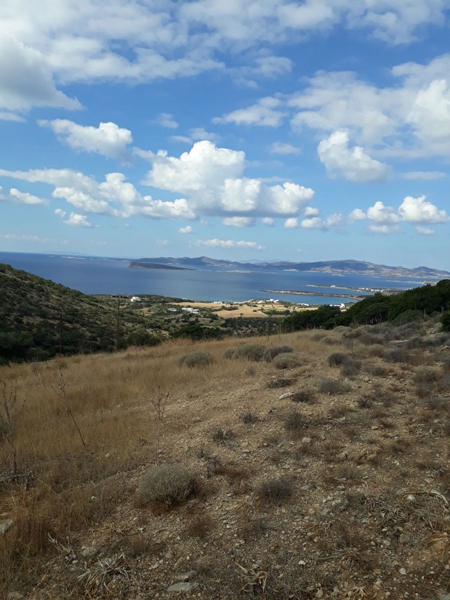 11500 m² Parcel