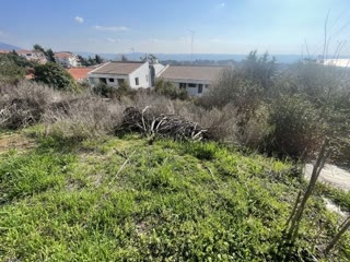 750 m² Plot