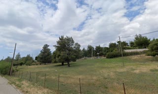 7447 m² Plot
