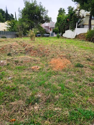 758 m² Plot