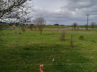 9120 m² Parcel