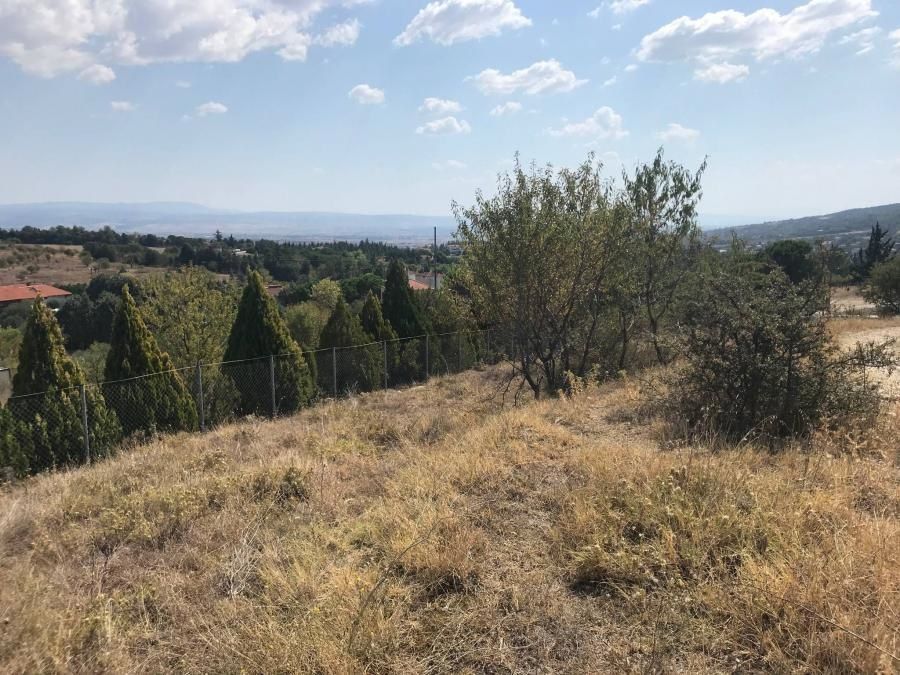 6100 m² Parcel