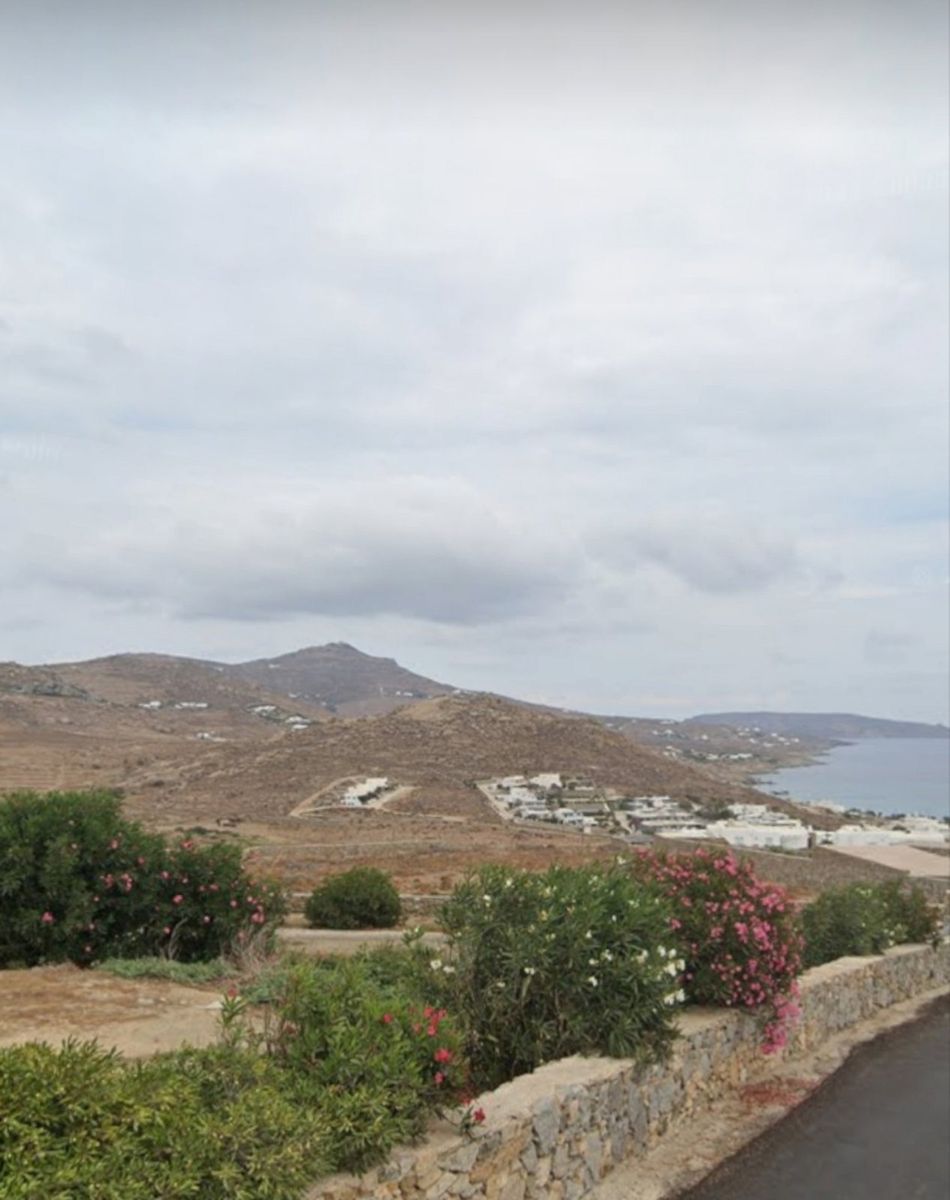 15600 m² Plot