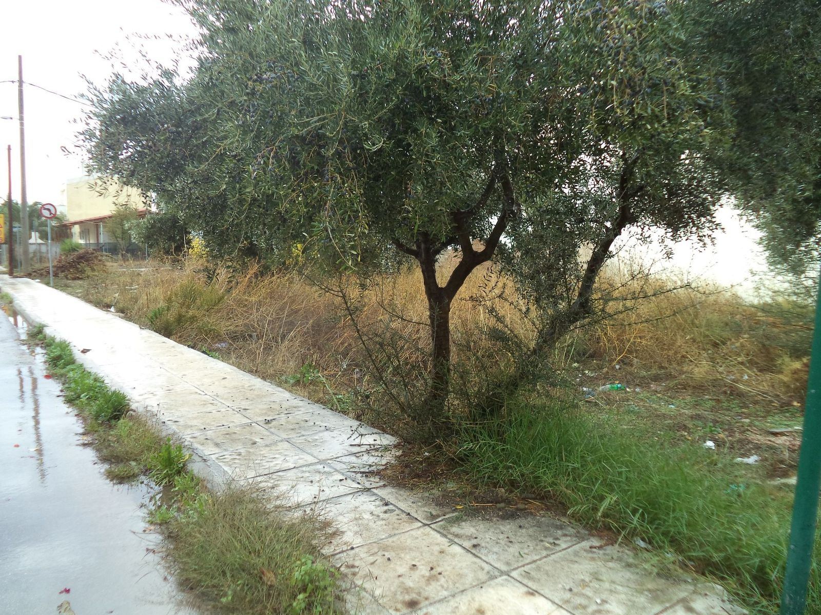 Οικόπεδο 440τ.μ.
